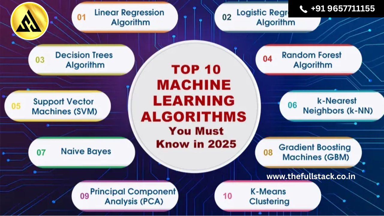 10 Most Popular ML Algorithms For Beginners-2024